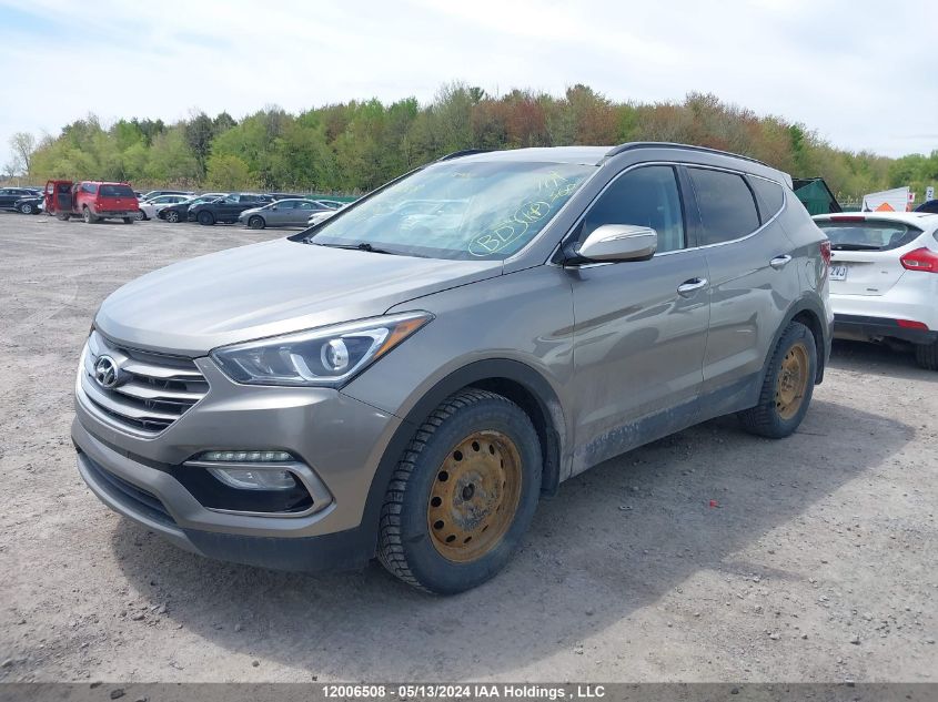 2017 Hyundai Santa Fe Sport 2.4 Premium VIN: 5XYZUDLBXHG400718 Lot: 12006508