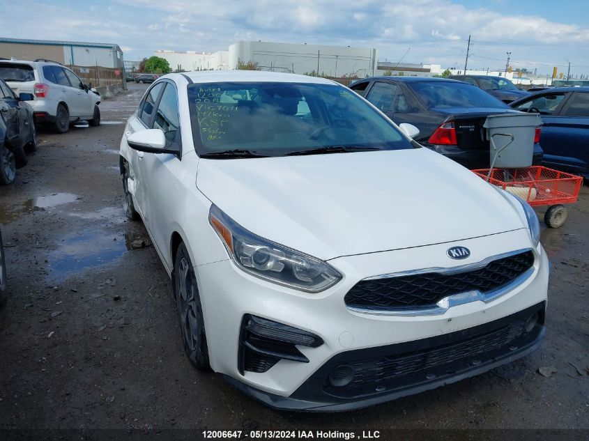 2020 Kia Forte VIN: 3KPF54ADXLE169071 Lot: 12006647