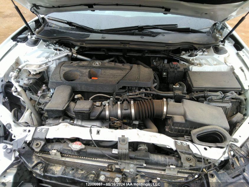 2023 Acura Tlx VIN: 19UUB6F59PA800139 Lot: 12006667