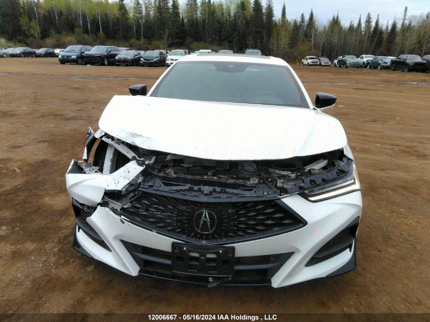 2023 Acura Tlx VIN: 19UUB6F59PA800139 Lot: 12006667