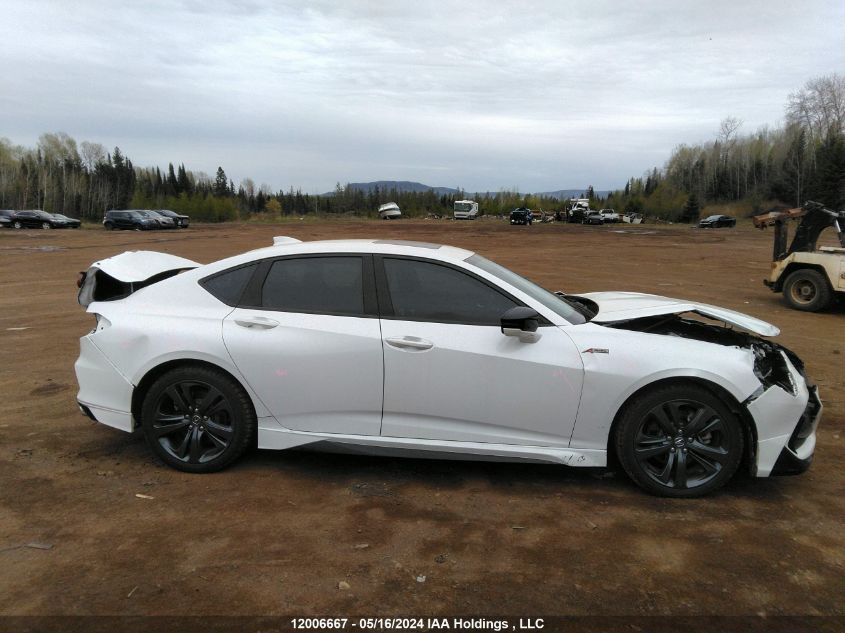 2023 Acura Tlx VIN: 19UUB6F59PA800139 Lot: 12006667