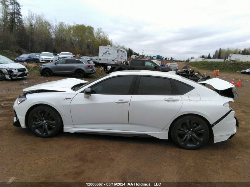 2023 Acura Tlx VIN: 19UUB6F59PA800139 Lot: 12006667