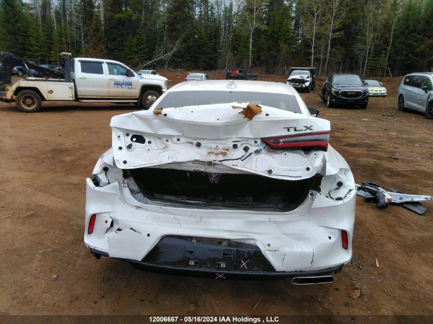 2023 Acura Tlx VIN: 19UUB6F59PA800139 Lot: 12006667