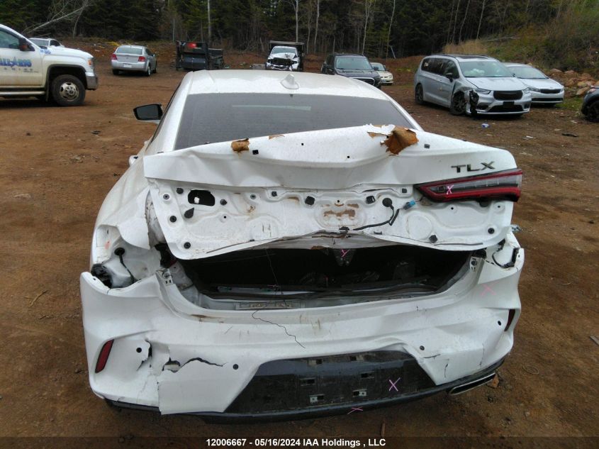 2023 Acura Tlx VIN: 19UUB6F59PA800139 Lot: 12006667