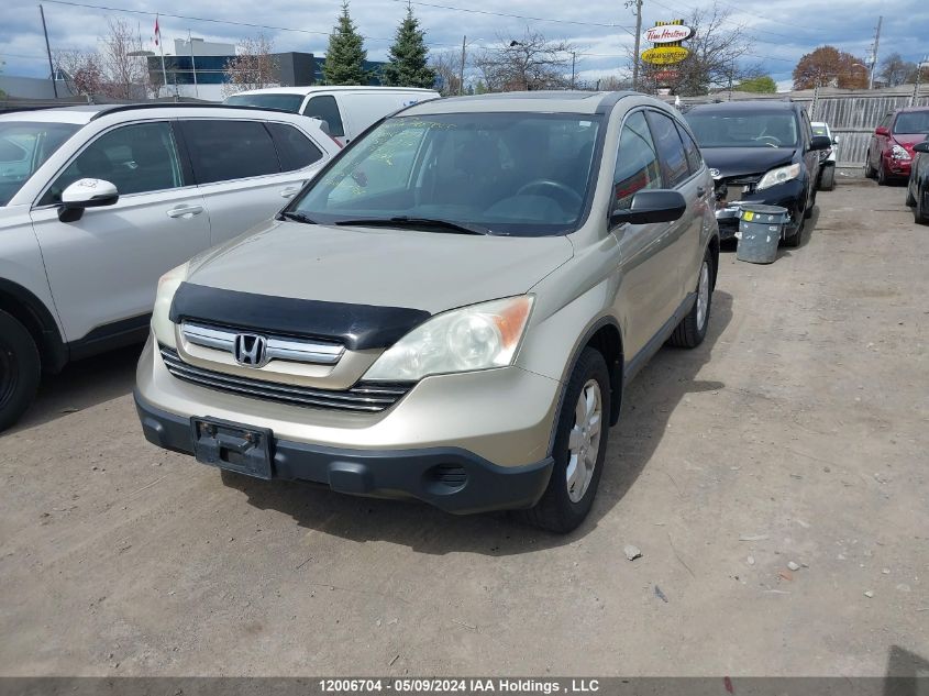 2007 Honda Cr-V VIN: 5J6RE485X7L806219 Lot: 12006704