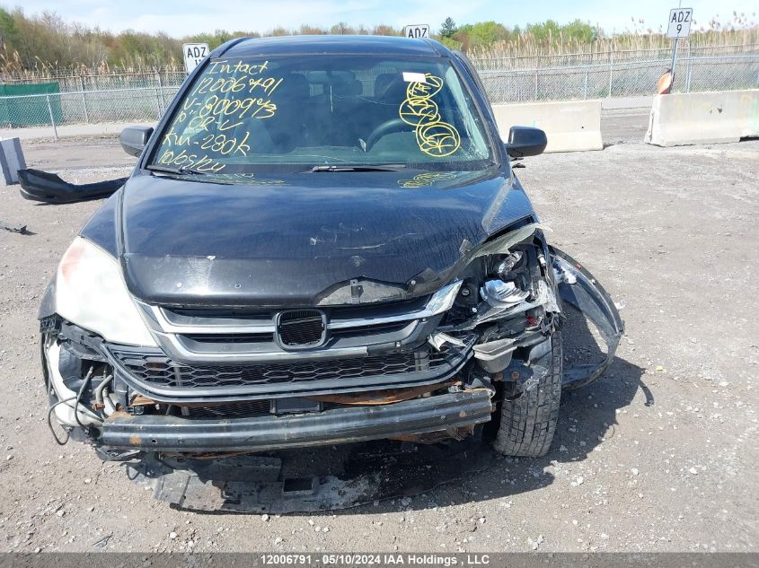 2010 Honda Cr-V VIN: 5J6RE3H33AL800973 Lot: 12006791