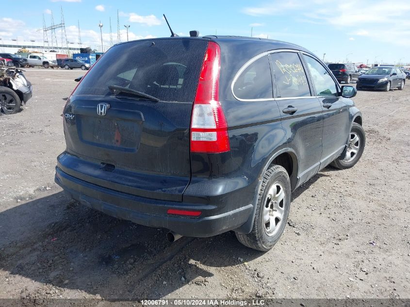 2010 Honda Cr-V VIN: 5J6RE3H33AL800973 Lot: 12006791