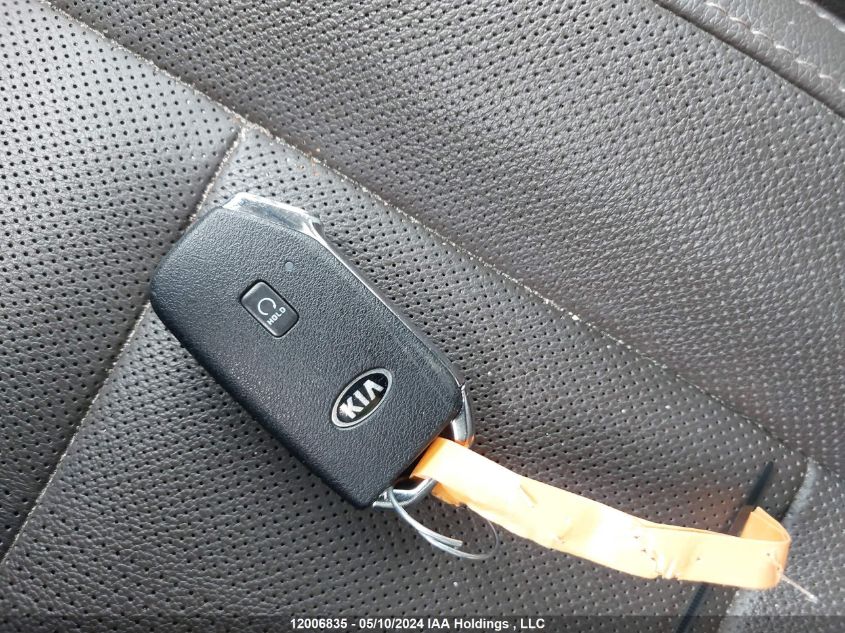 2021 Kia Telluride VIN: 5XYP5DHC4MG189287 Lot: 12006835