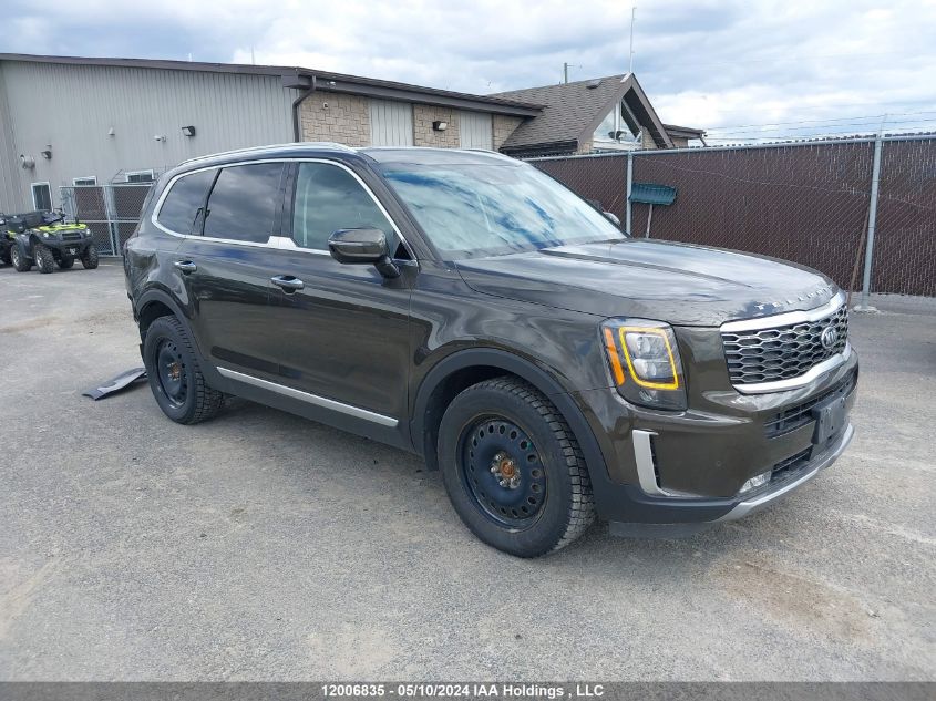 2021 Kia Telluride VIN: 5XYP5DHC4MG189287 Lot: 12006835