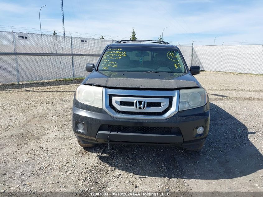 2009 Honda Pilot VIN: 5FNYF48589B503427 Lot: 12007003