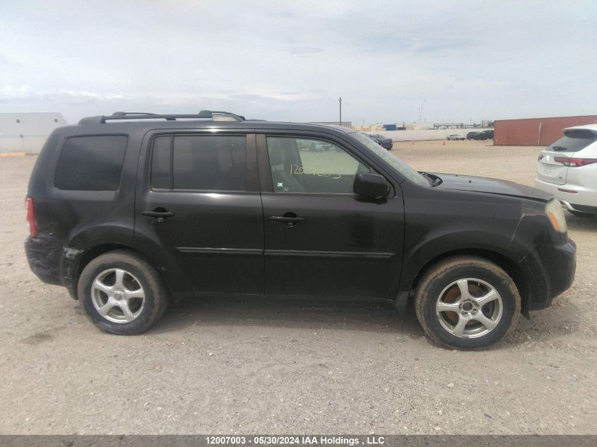 2009 Honda Pilot VIN: 5FNYF48589B503427 Lot: 12007003