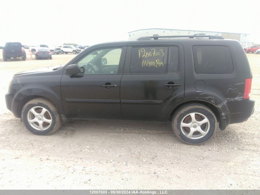 2009 Honda Pilot VIN: 5FNYF48589B503427 Lot: 12007003