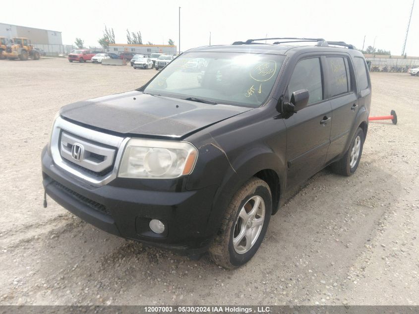 2009 Honda Pilot VIN: 5FNYF48589B503427 Lot: 12007003