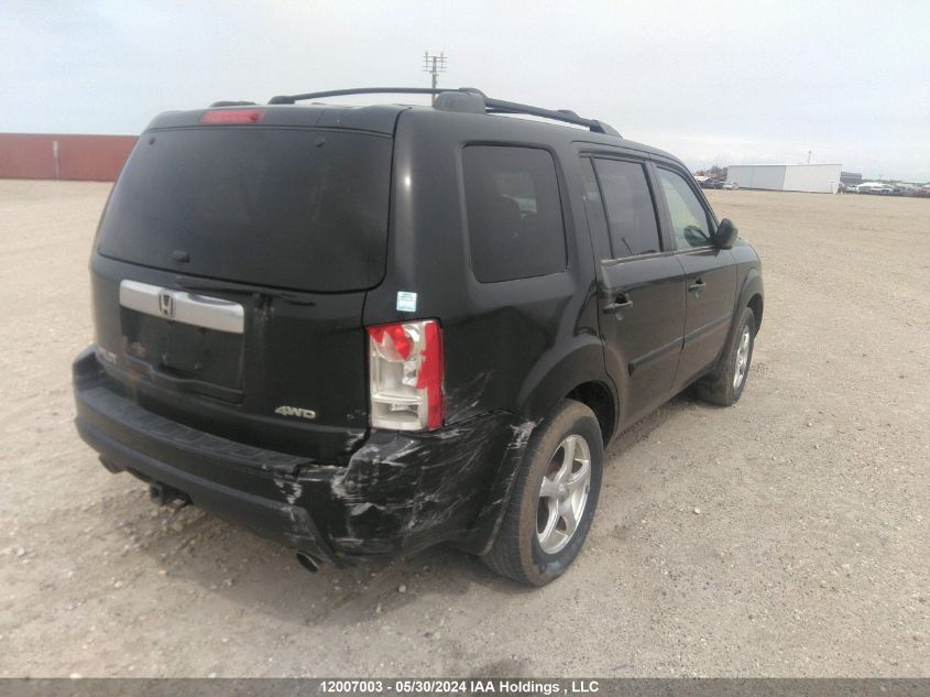 2009 Honda Pilot VIN: 5FNYF48589B503427 Lot: 12007003