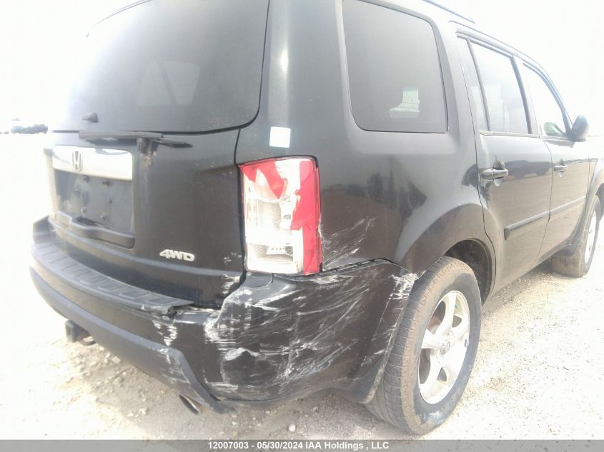 2009 Honda Pilot VIN: 5FNYF48589B503427 Lot: 12007003