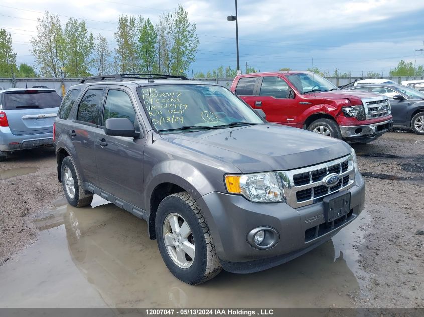 2009 Ford Escape Xlt VIN: 1FMCU03799KD12499 Lot: 12007047