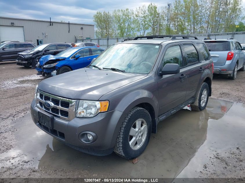 2009 Ford Escape Xlt VIN: 1FMCU03799KD12499 Lot: 12007047