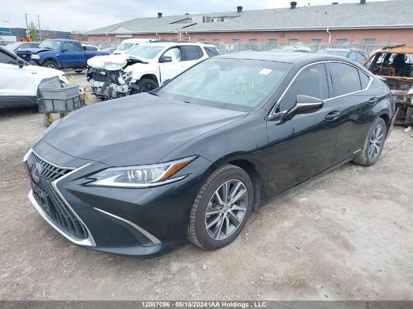 2022 Lexus Es 300H VIN: 58AB21B17NU013508 Lot: 12007096