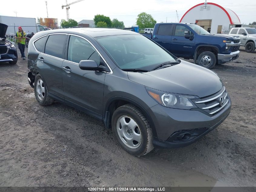 2014 Honda Cr-V VIN: 2HKRM4H50EH109801 Lot: 12007101