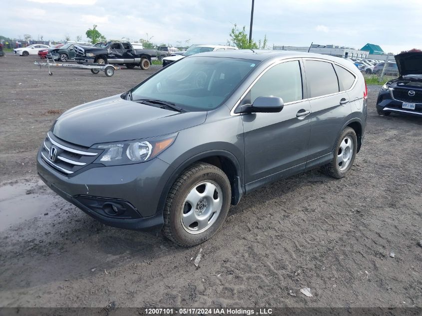 2014 Honda Cr-V VIN: 2HKRM4H50EH109801 Lot: 12007101