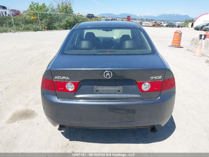 2005 Acura Tsx VIN: JH4CL96835C801242 Lot: 12007161