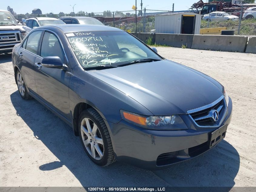 2005 Acura Tsx VIN: JH4CL96835C801242 Lot: 12007161