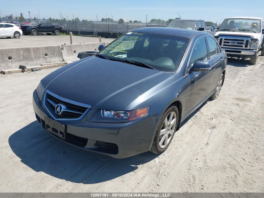 2005 Acura Tsx VIN: JH4CL96835C801242 Lot: 12007161