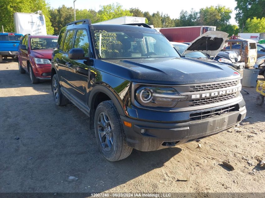 2021 Ford Bronco Sport Badlands VIN: 3FMCR9D92MRB09643 Lot: 12007248