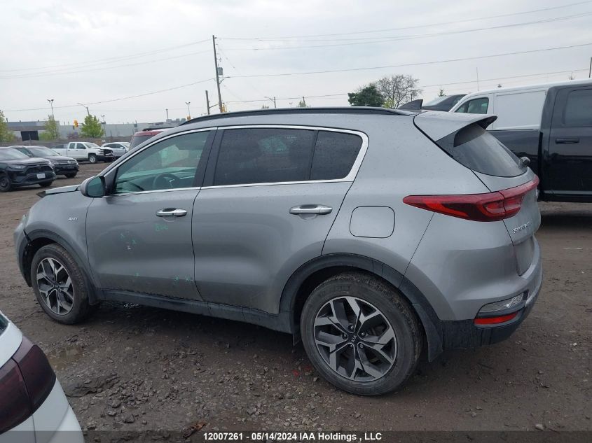 2020 Kia Sportage VIN: KNDPNCAC8L7736822 Lot: 12007261