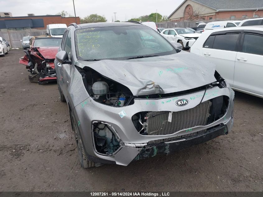 2020 Kia Sportage VIN: KNDPNCAC8L7736822 Lot: 12007261