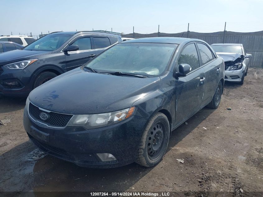 2010 Kia Forte VIN: KNAFW4A32A5213638 Lot: 12007264