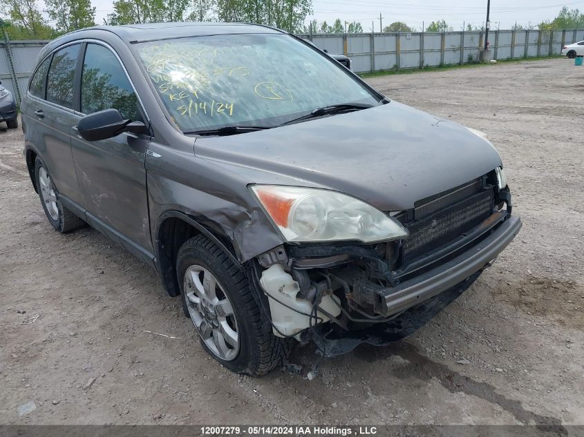 2009 Honda Cr-V VIN: 5J6RE48569L812375 Lot: 12007279