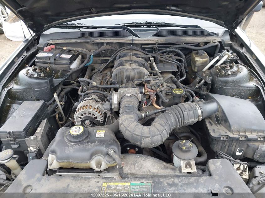 2006 Ford Mustang VIN: 1ZVFT84N665243049 Lot: 12007325