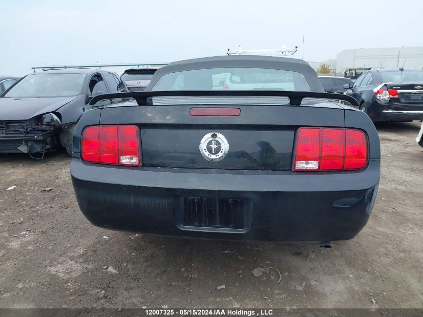 2006 Ford Mustang VIN: 1ZVFT84N665243049 Lot: 12007325
