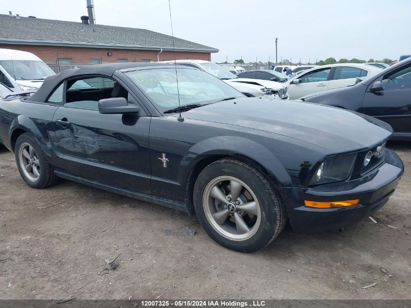 2006 Ford Mustang VIN: 1ZVFT84N665243049 Lot: 12007325