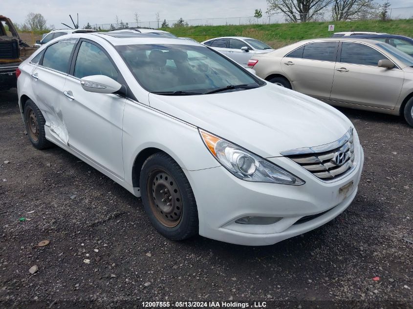 2013 Hyundai Sonata Se/Limited VIN: 5NPEC4ACXDH546746 Lot: 12007555