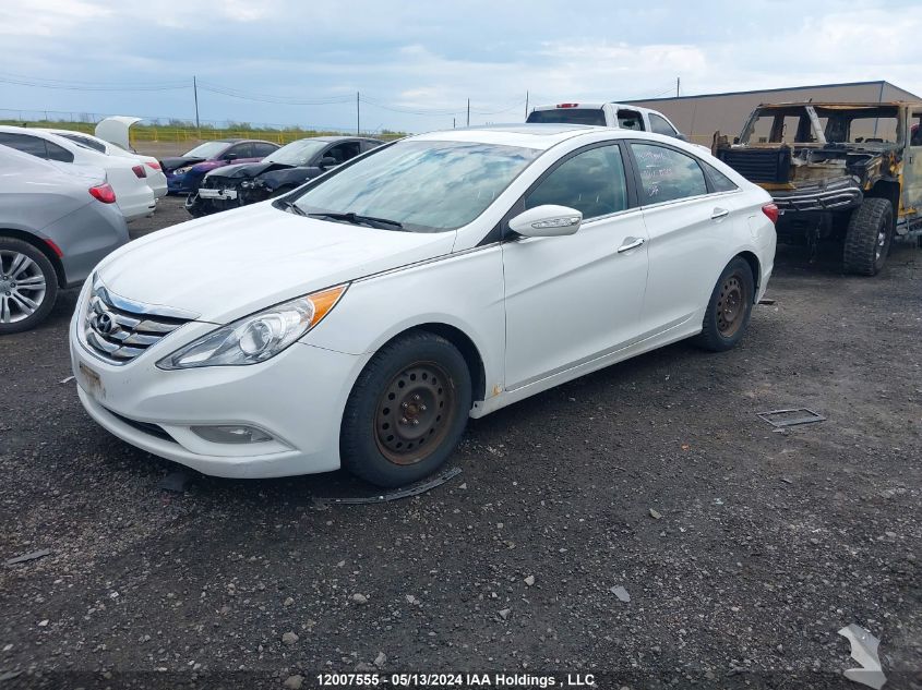 2013 Hyundai Sonata Se/Limited VIN: 5NPEC4ACXDH546746 Lot: 12007555