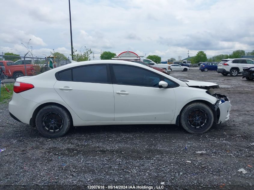 2014 Kia Forte VIN: KNAFK4A61E5248862 Lot: 12007618