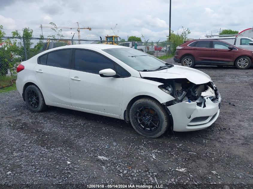 2014 Kia Forte VIN: KNAFK4A61E5248862 Lot: 12007618