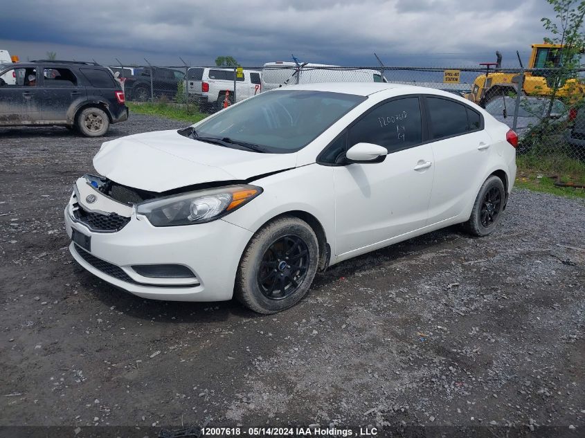 2014 Kia Forte VIN: KNAFK4A61E5248862 Lot: 12007618