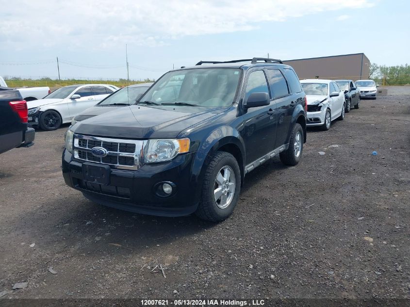 2009 Ford Escape VIN: 1FMCU03G49KC44547 Lot: 12007621