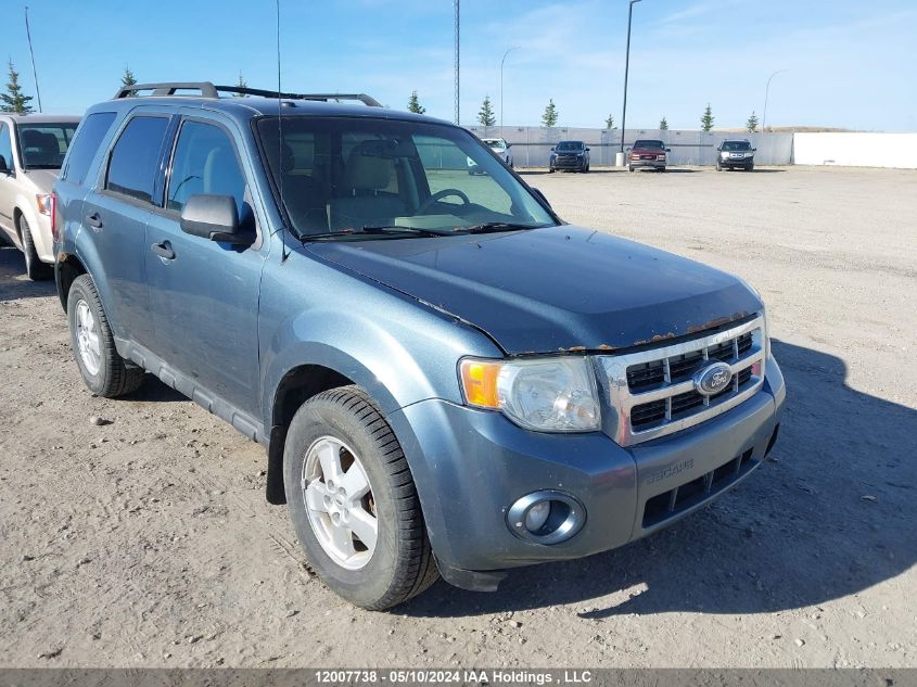 2010 Ford Escape VIN: 1FMCU9D74AKB73177 Lot: 12007738