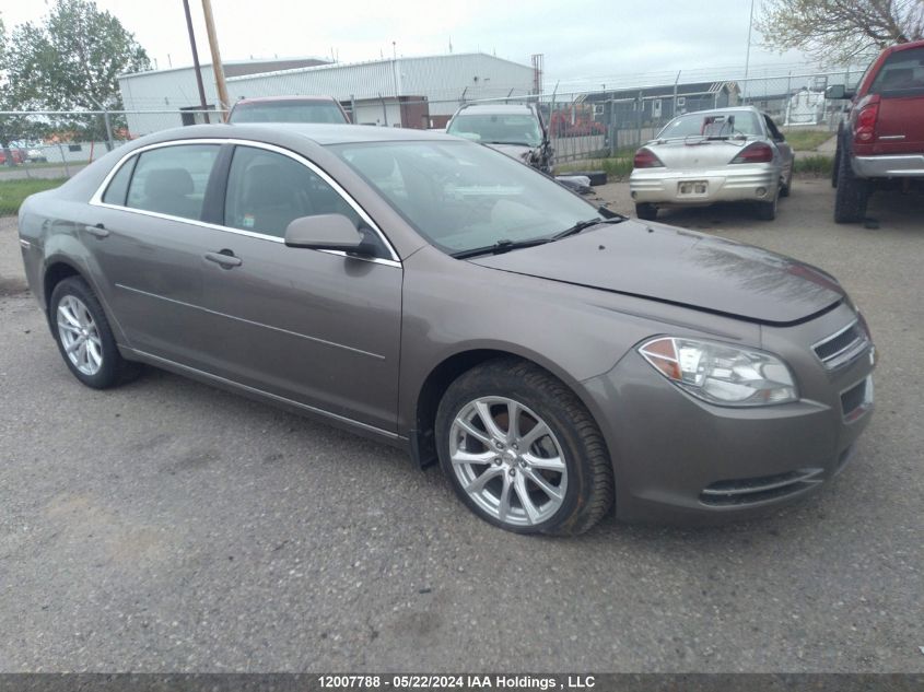 2010 Chevrolet Malibu 2Lt VIN: 1G1ZD5E08AF286396 Lot: 12007788