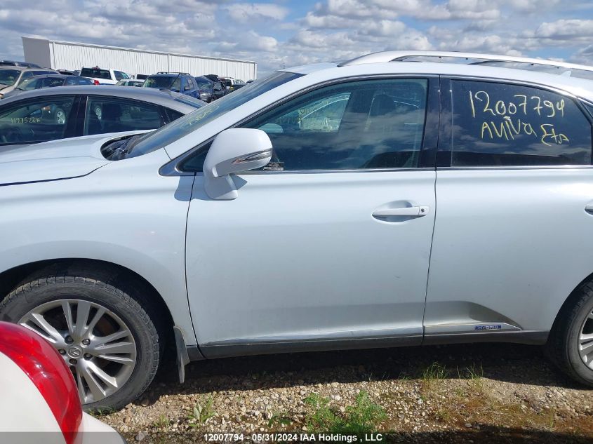 2010 Lexus Rx 450 VIN: JTJBC1BA8A2006563 Lot: 12007794