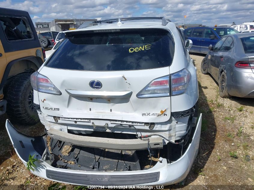 2010 Lexus Rx 450 VIN: JTJBC1BA8A2006563 Lot: 12007794