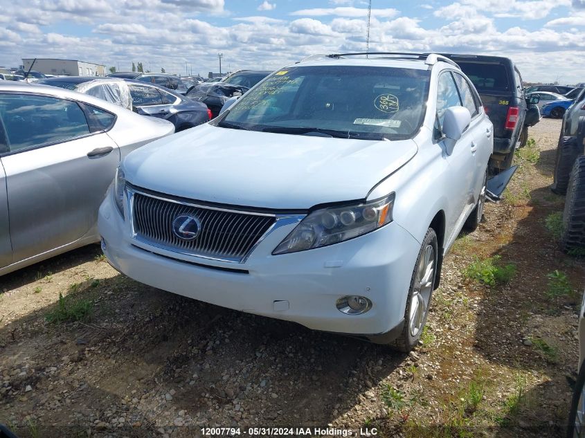 2010 Lexus Rx 450 VIN: JTJBC1BA8A2006563 Lot: 12007794