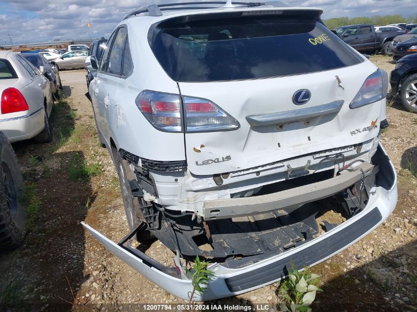 2010 Lexus Rx 450 VIN: JTJBC1BA8A2006563 Lot: 12007794