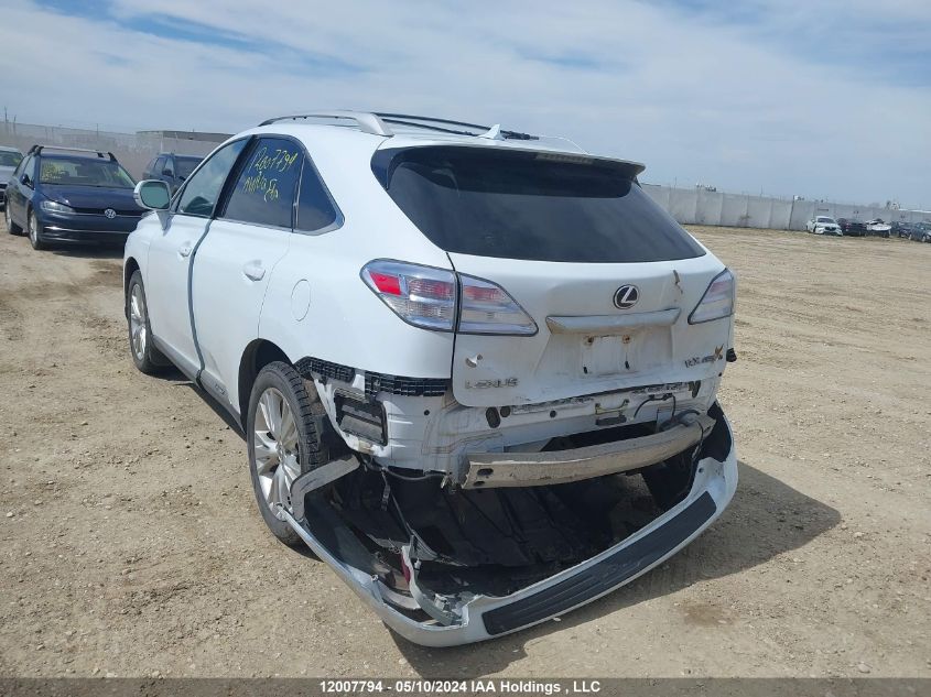 2010 Lexus Rx 450 VIN: JTJBC1BA8A2006563 Lot: 12007794