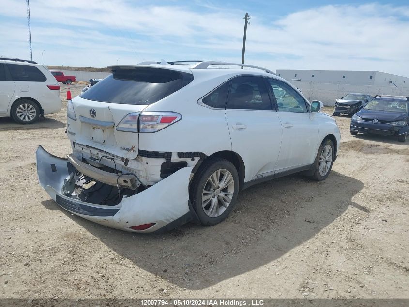 2010 Lexus Rx 450 VIN: JTJBC1BA8A2006563 Lot: 12007794