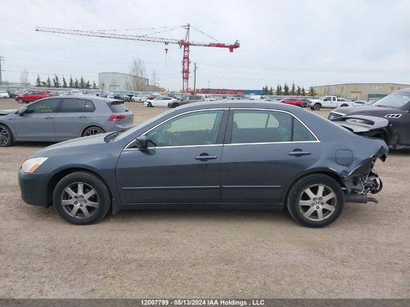 2005 Honda Accord Sdn VIN: 1HGCM66505A800761 Lot: 12007799